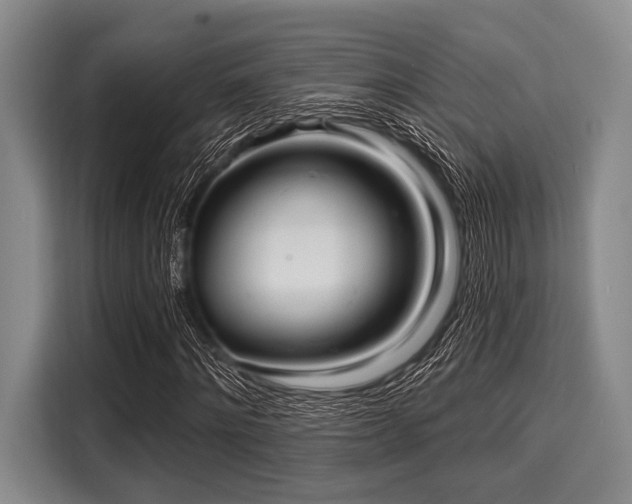 X0000116040868200911271156