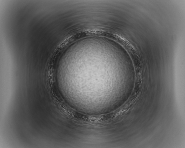 X0000116040870200911271156