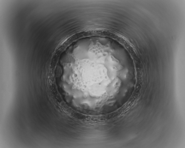 X0000116040871200911271156