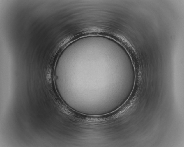 X0000116040873200911271156