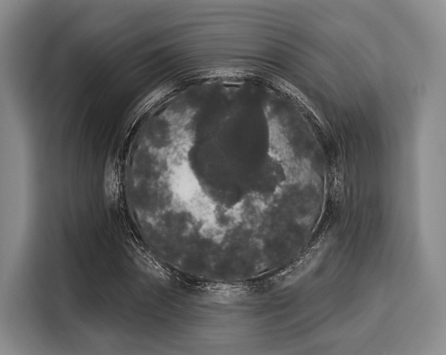 X0000116040874200911271156