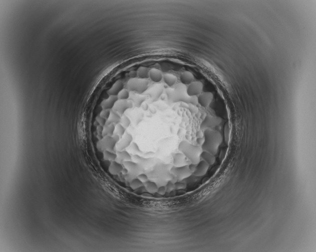 X0000116040875200911271156