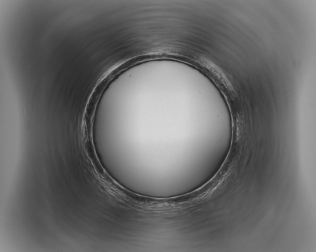 X0000116040876200911271156