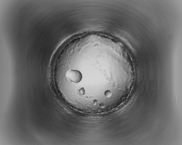 X0000116040878200911271156