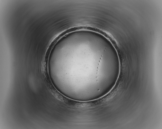 X0000116040879200911271156