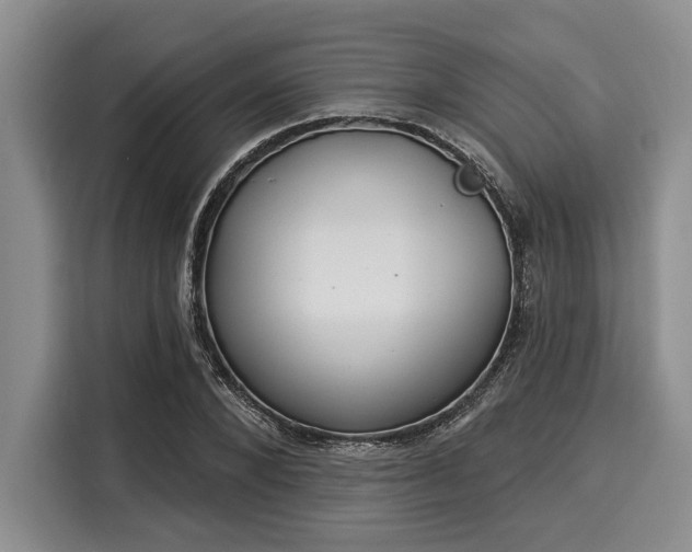 X0000116040880200911271156