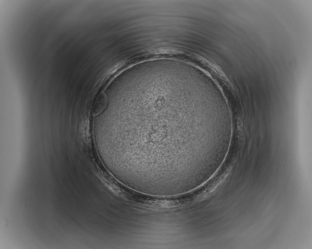 X0000116040881200911271156