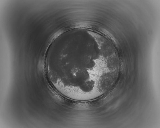 X0000116040882200911271156