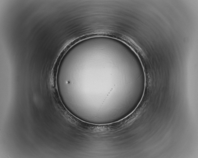 X0000116040883200911271156