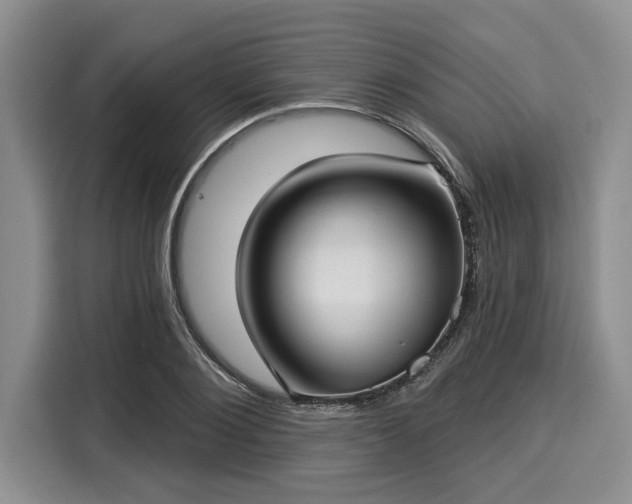 X0000116040884200911271156