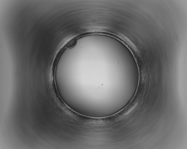 X0000116040885200911271156