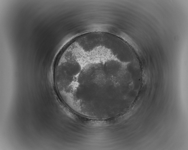 X0000116040886200911271156