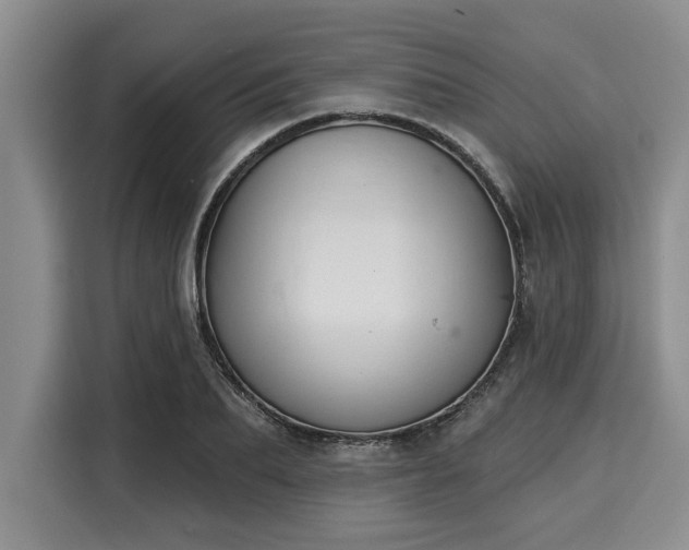 X0000116040887200911271156