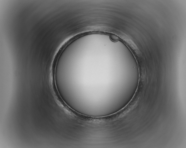 X0000116040888200911271156