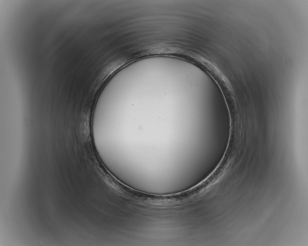 X0000116040889200911271156