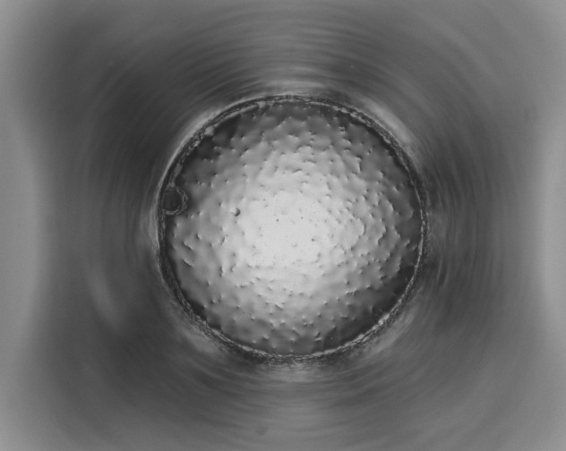 X0000116040891200911271156