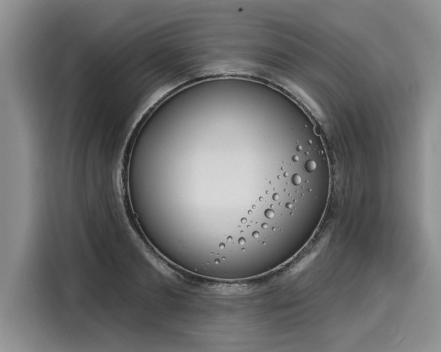 X0000116040893200911271156