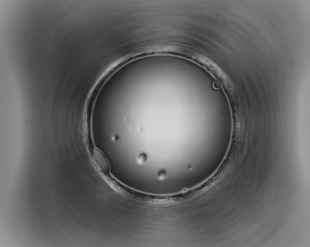 X0000116040894200911271156