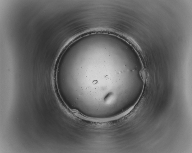 X0000116040895200911271156