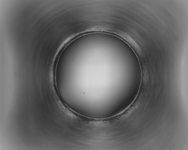 X0000116040896200911271155