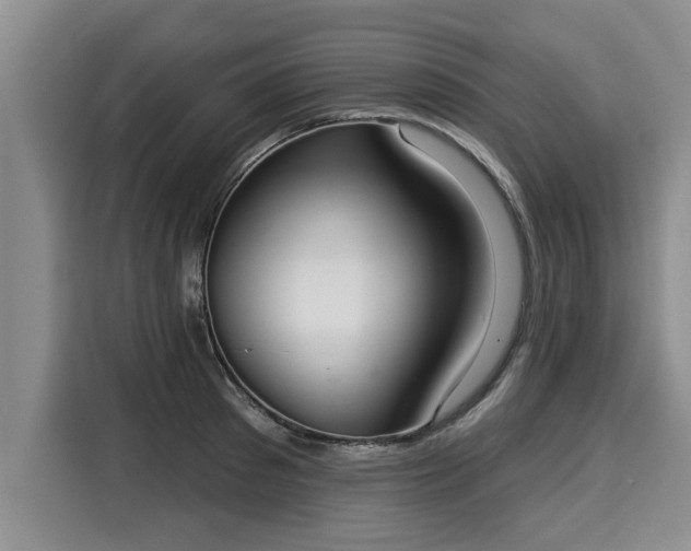 X0000116040897200911271155