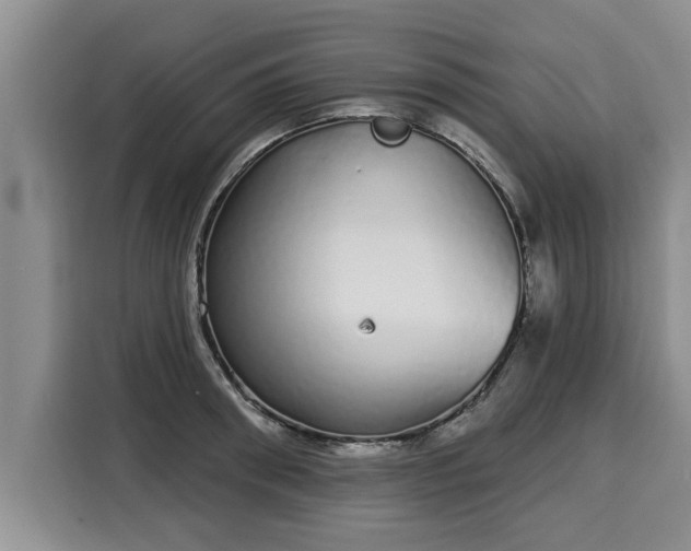 X0000116040898200911271155