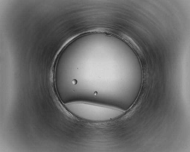 X0000116040900200911271155