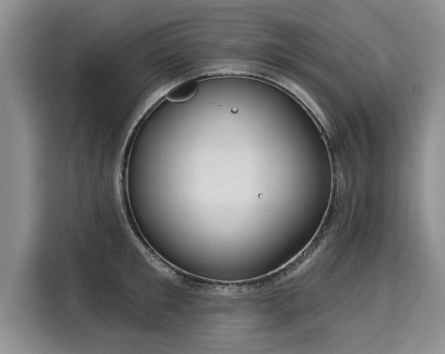 X0000116040901200911271155