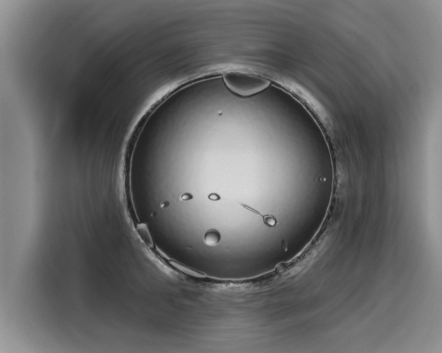 X0000116040902200911271155