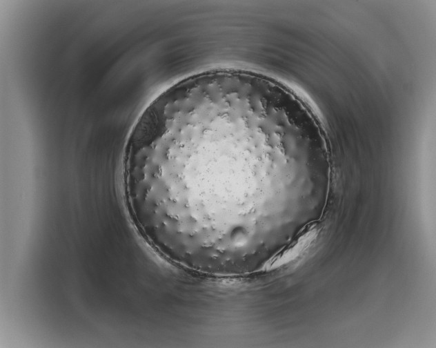 X0000116040903200911271155