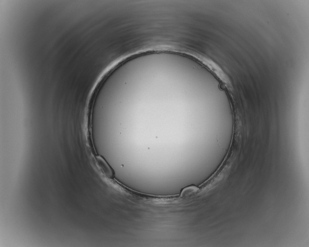 X0000116040904200911271155