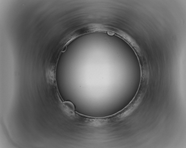 X0000116040905200911271155