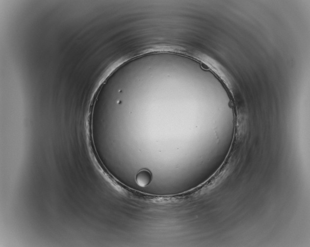 X0000116040906200911271155