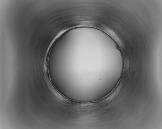 X0000116040908200911271155