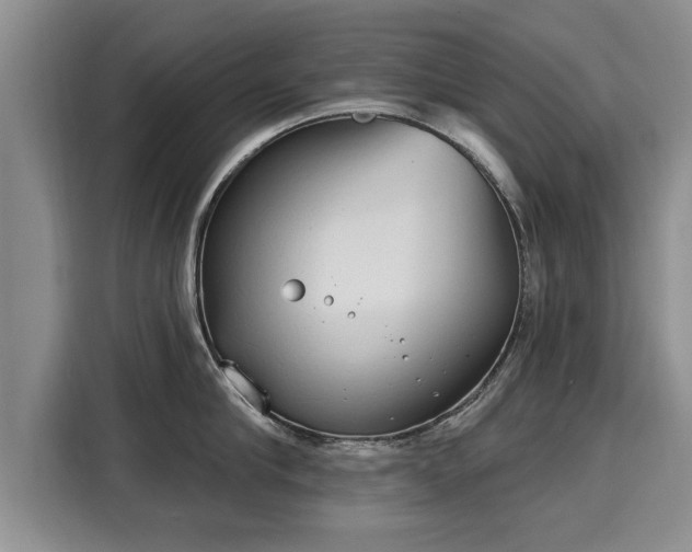 X0000116040910200911271155