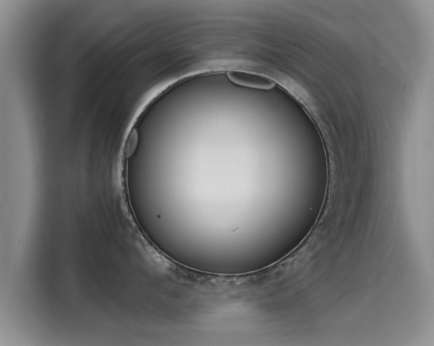 X0000116040912200911271155