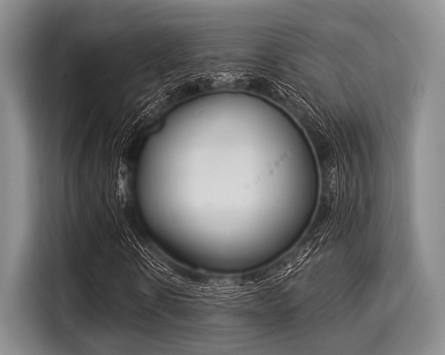 X0000116040914200911271155