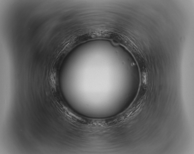 X0000116040915200911271155