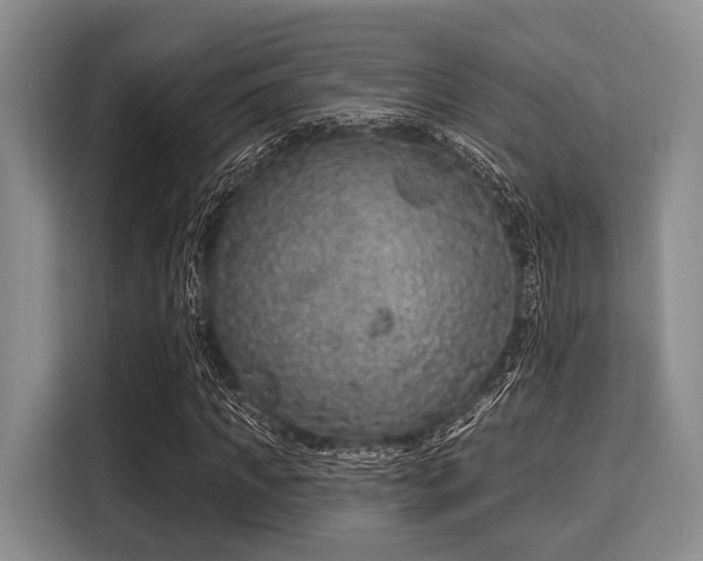 X0000116040917200911271155