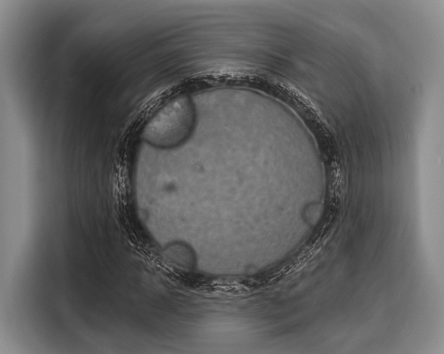 X0000116040918200911271155