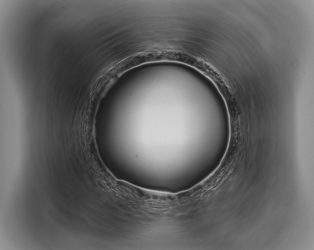 X0000116040919200911271155