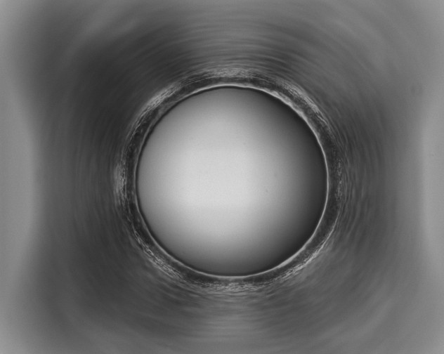 X0000116040922200911271155