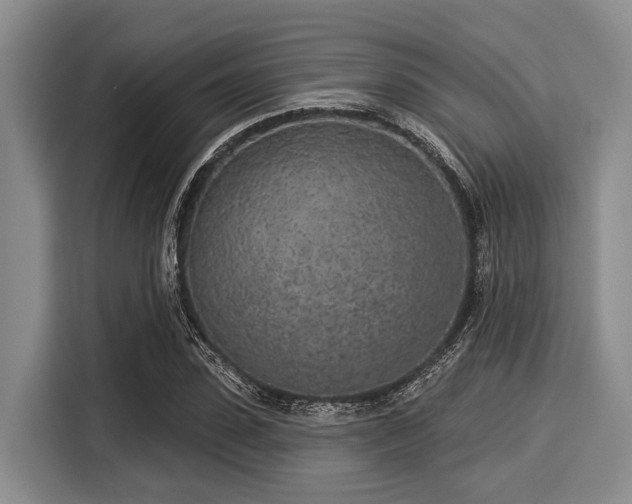 X0000116040923200911271155