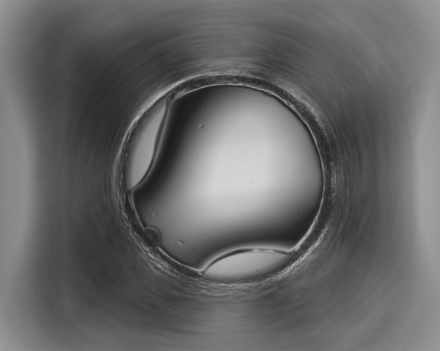 X0000116040925200911271155