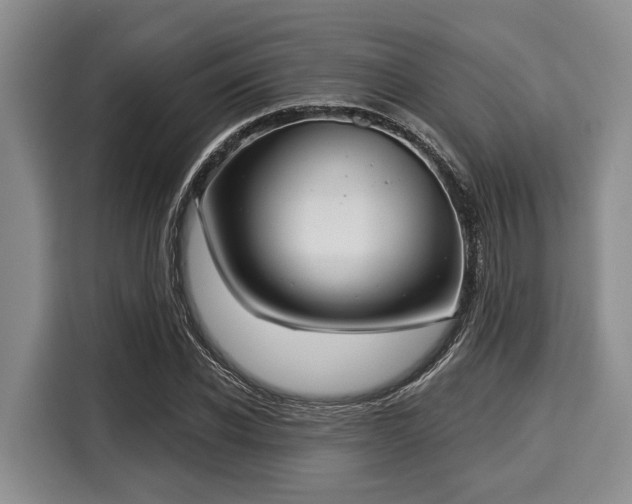 X0000116040926200911271155