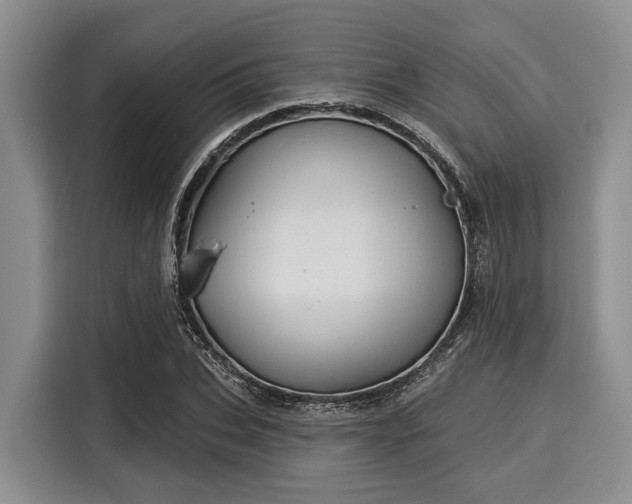 X0000116040927200911271155