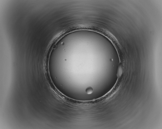 X0000116040930200911271155