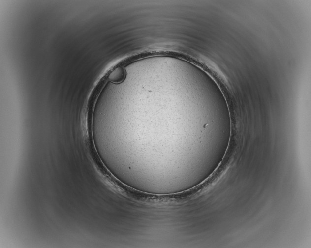 X0000116040934200911271155