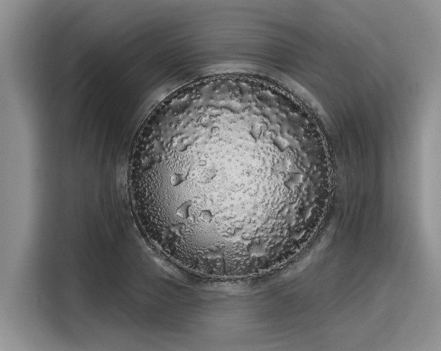 X0000116040937200911271155