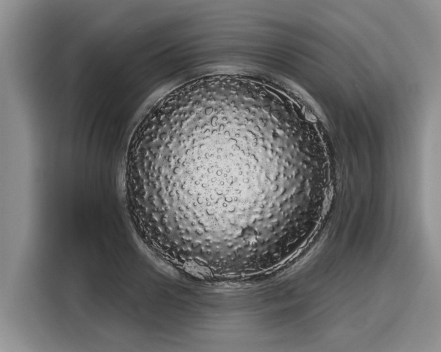 X0000116040938200911271155